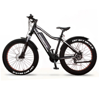 Hoverbot FB-2 PRO FATBIKE (2020)