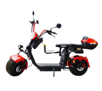 CityCoco Skyboard 1500W