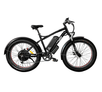 Elbike Phantom Vip 13