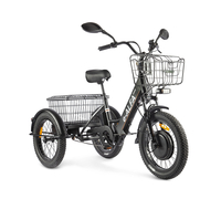 GREEN CITY e-ALFA Trike