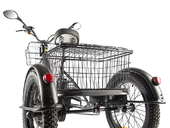 Электровелосипед GREEN CITY e-ALFA Trike (синий) - Фото 14