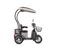 Rutrike S1 V2 с крышей